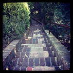 672546e23bc711e1abb01231381b65e3_5