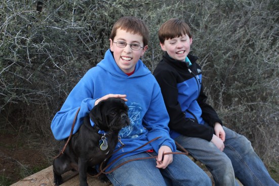 boys and dog on bench - table rock